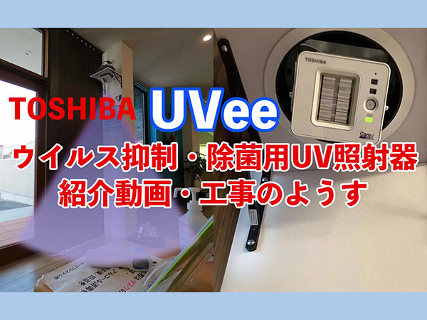 【Youtube】動画でも紹介しています