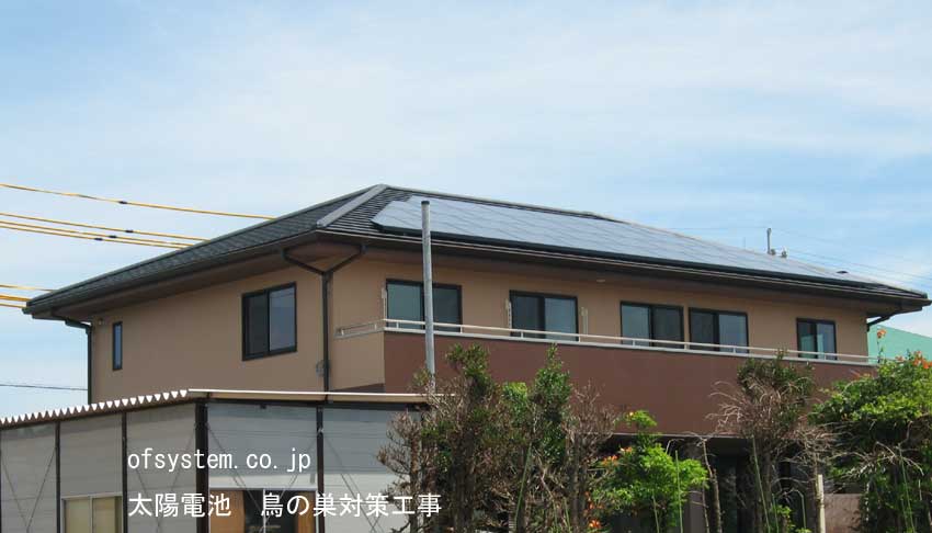 太陽電池をつけた屋根へ鳥の巣対策工事